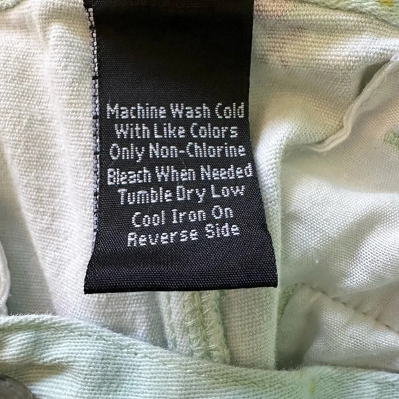 Raw Yarn Industries Mens Shorts Mint Green With Flamingos Size 34 Pockets Zip - Picture 3 of 4